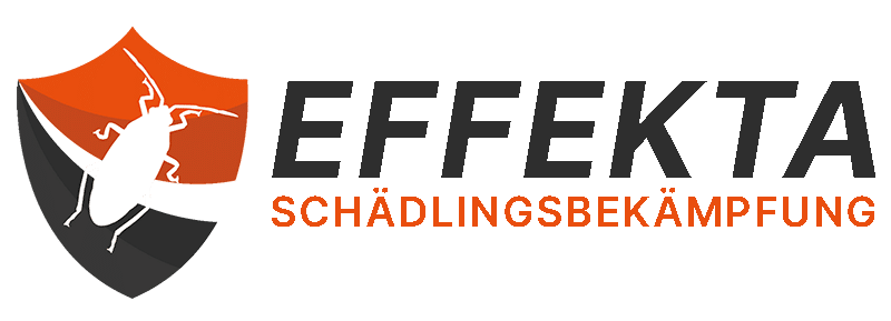 Effekta Schädlings­bekämpfung Logo Orange